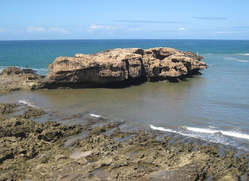 Outra Foto