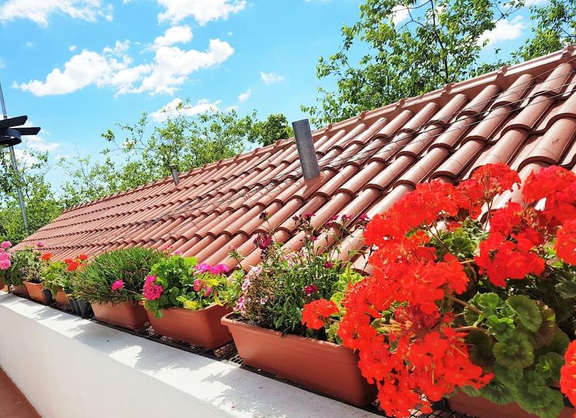 Exterior Foto