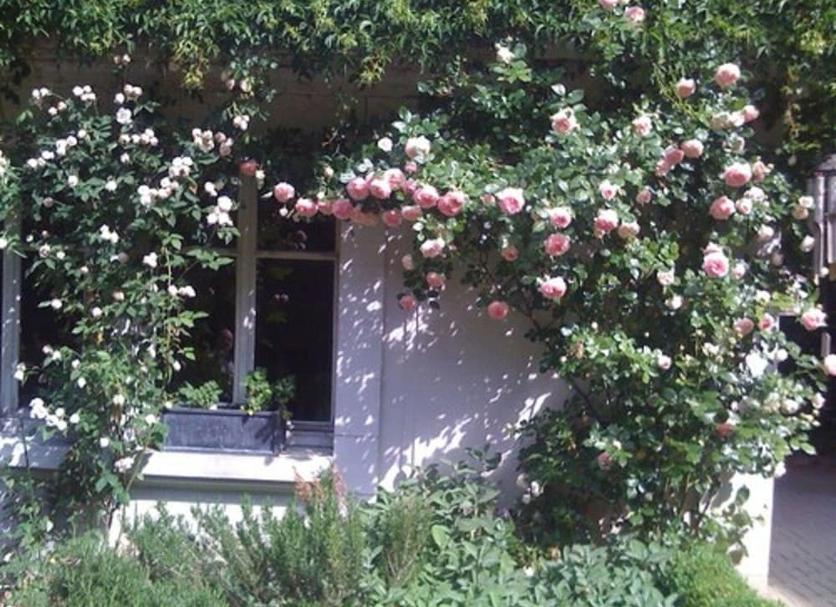 Exterior Foto