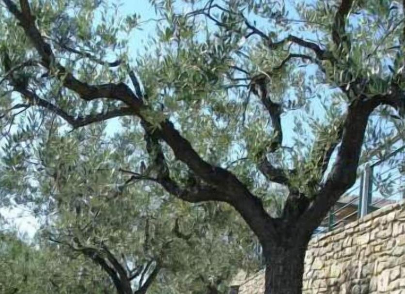 Exterior Foto