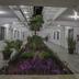 Corredor