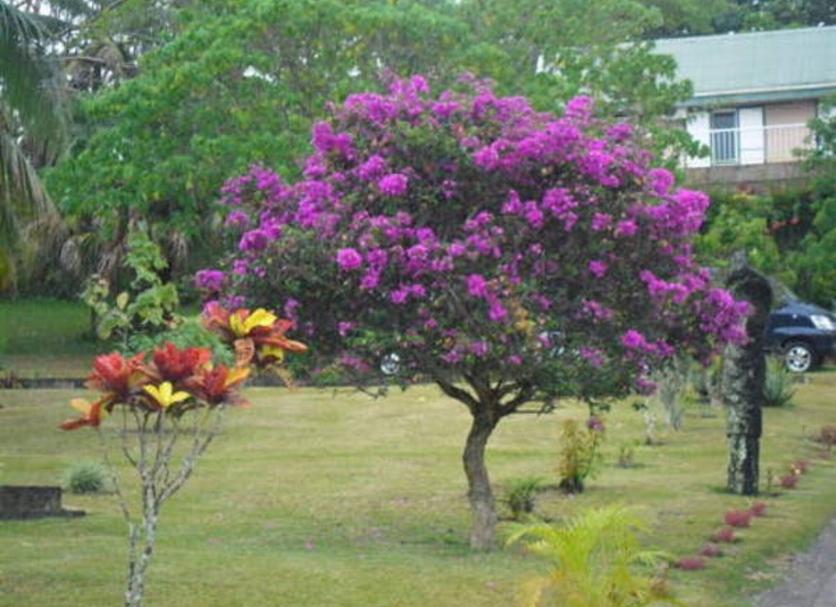 Exterior Foto