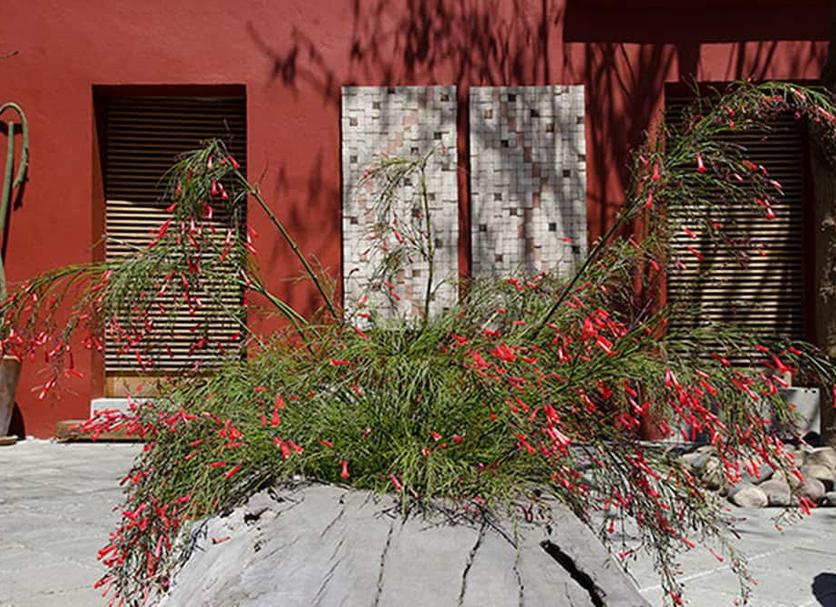 Exterior Foto