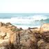 Outra
