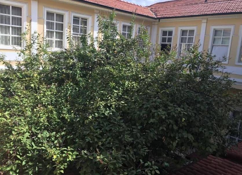 Exterior Foto