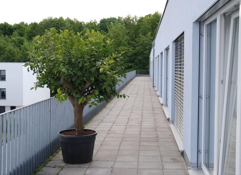 Exterior Foto