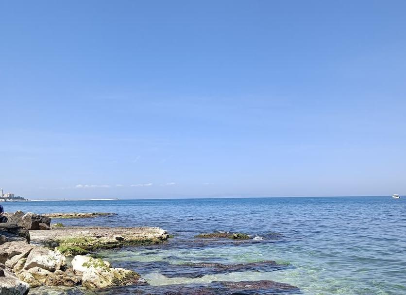 Outra Foto