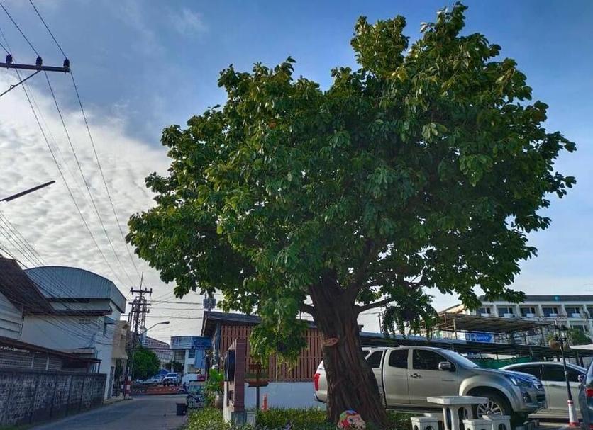 Exterior Foto