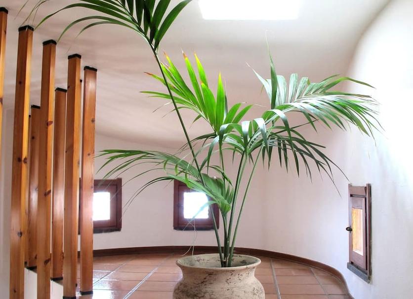 Comodidade do quarto Foto