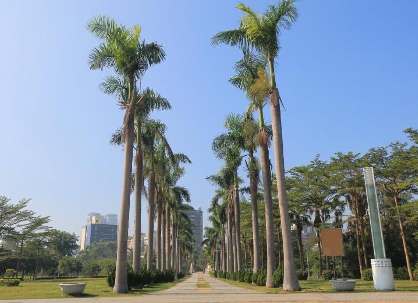 Exterior Foto