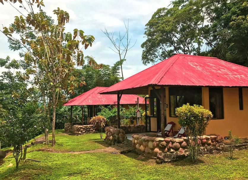 Outra Foto
