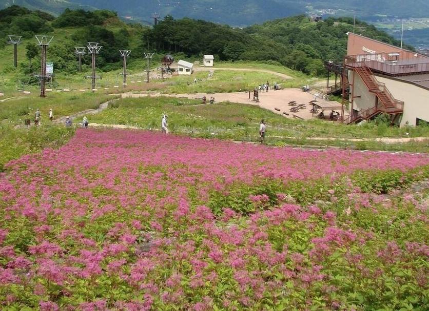 Exterior Foto