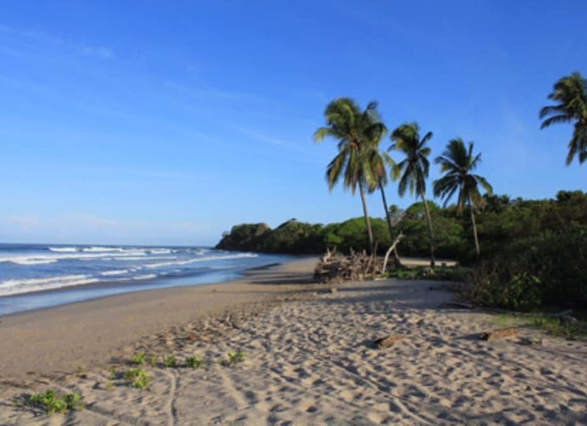 Praia Foto