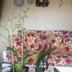 Comodidade do quarto