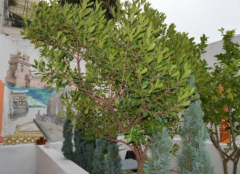 Exterior Foto