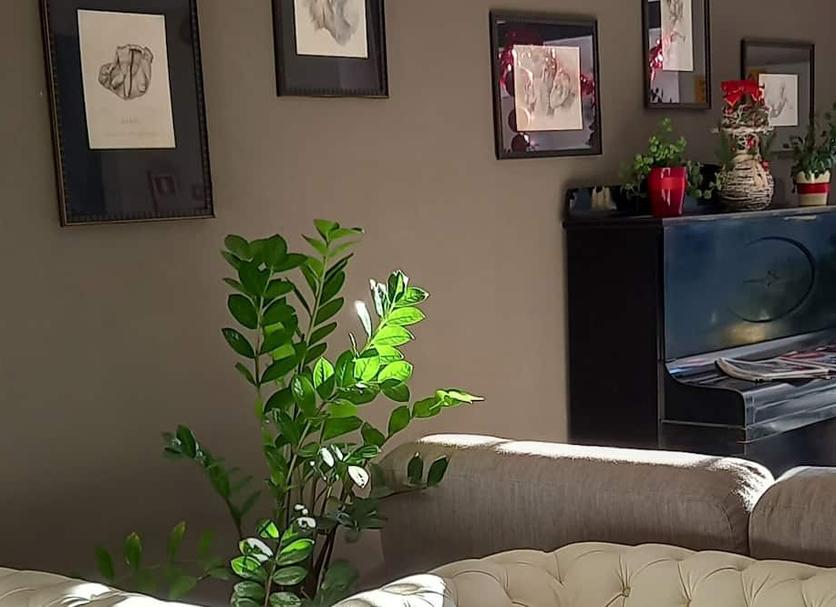 Comodidade do quarto Foto