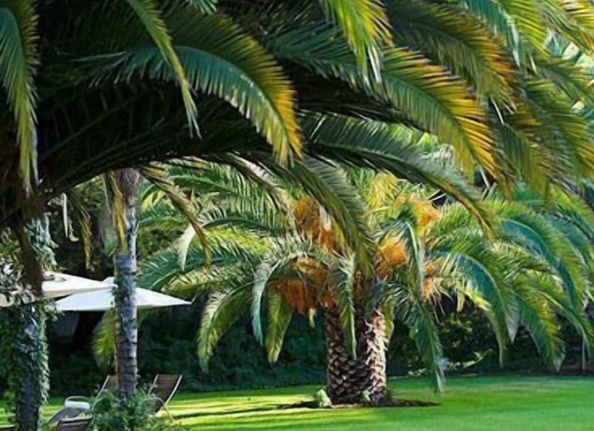 Exterior Foto
