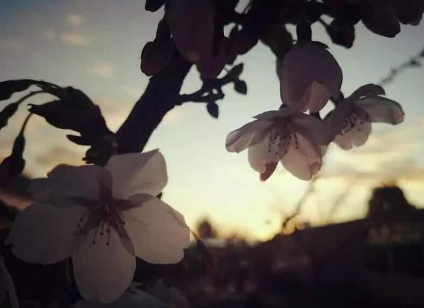 Outra Foto