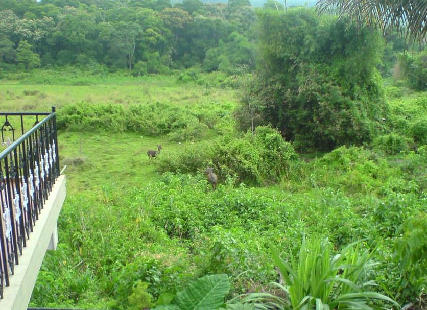 Exterior Foto