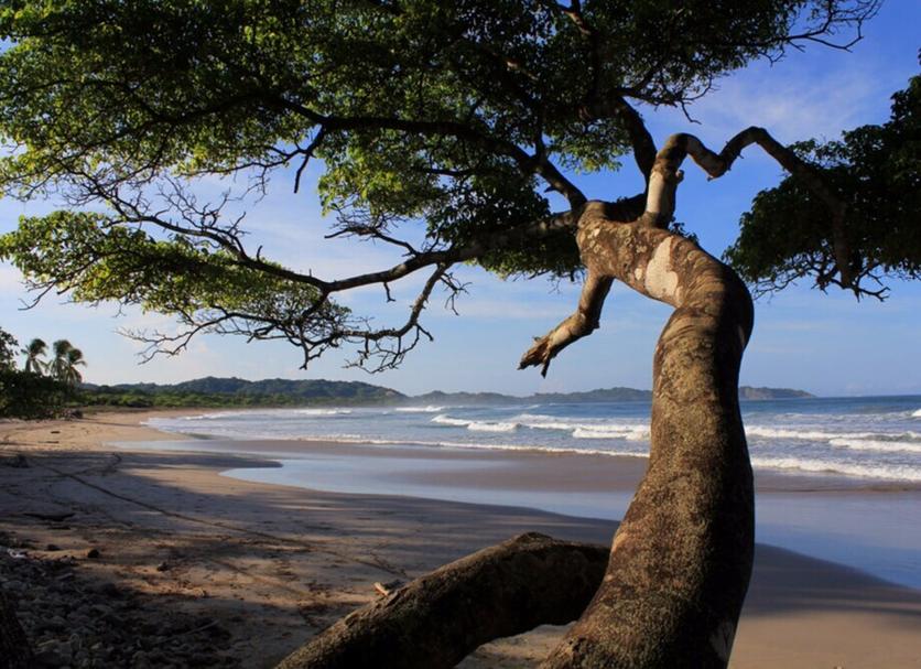 Outra Foto