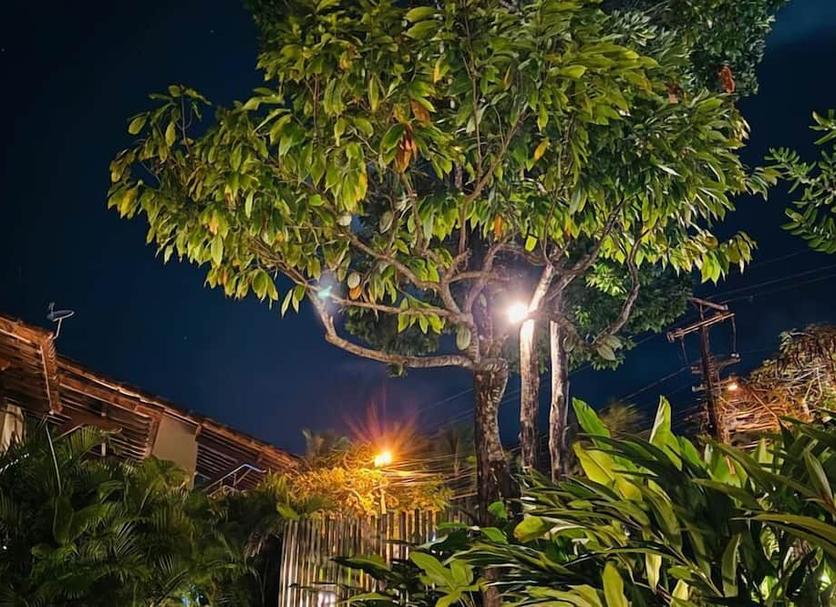 Outra Foto
