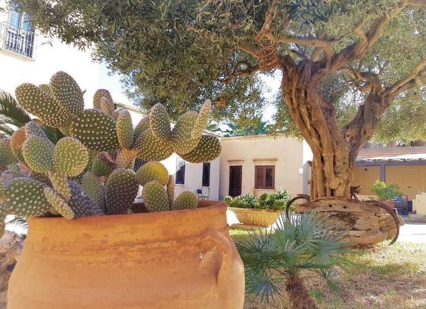 Exterior Foto