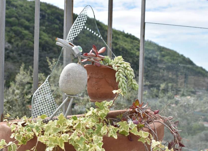Outra Foto