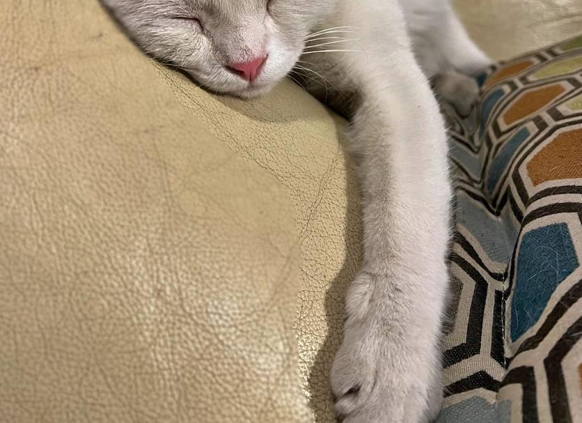 Comodidade do quarto Foto