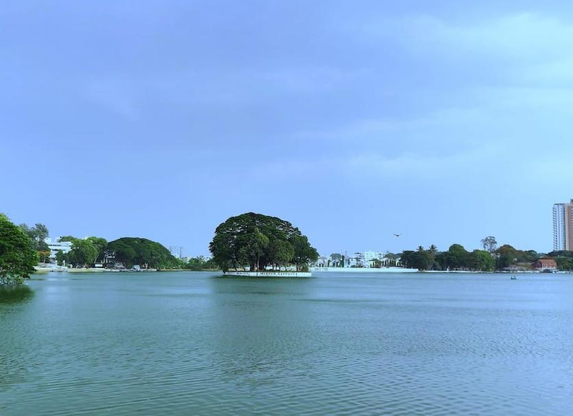 Outra Foto