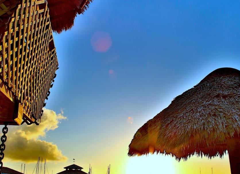Outra Foto