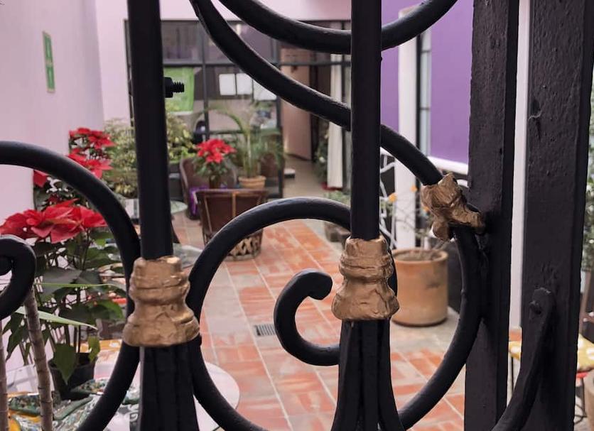 Outra Foto