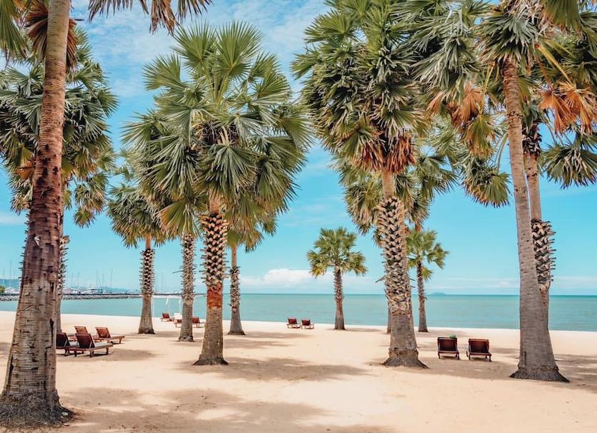 Praia Foto