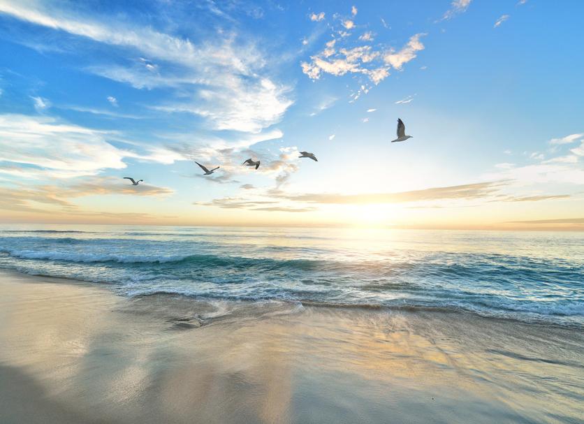 Praia Foto