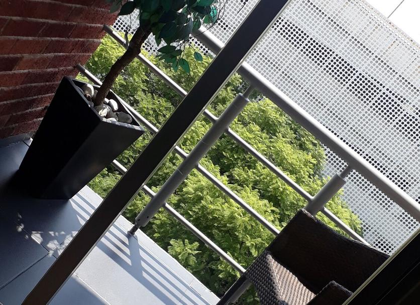 Outra Foto