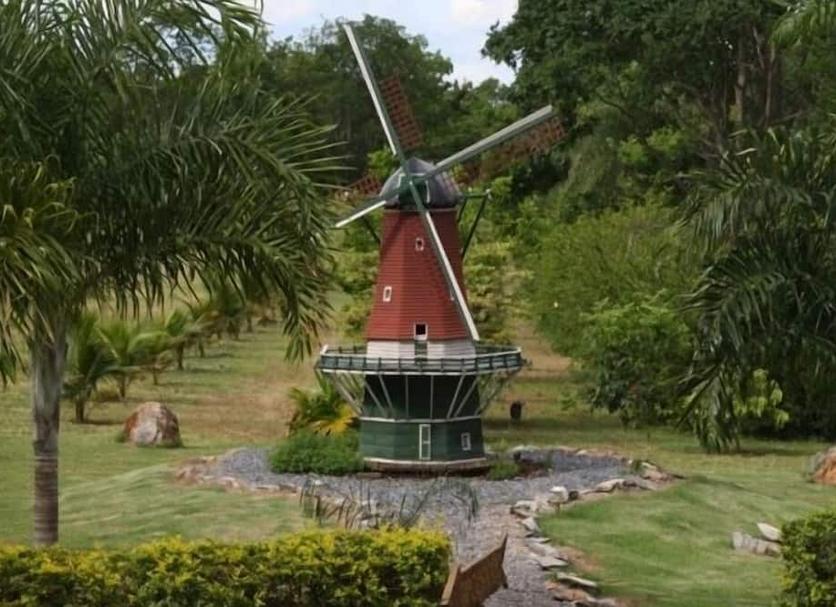 Outra Foto
