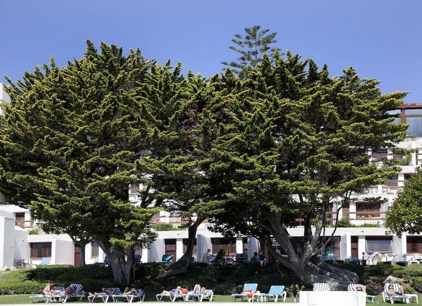 Exterior Foto