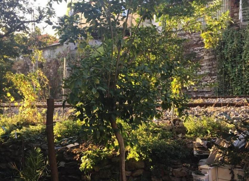 Exterior Foto