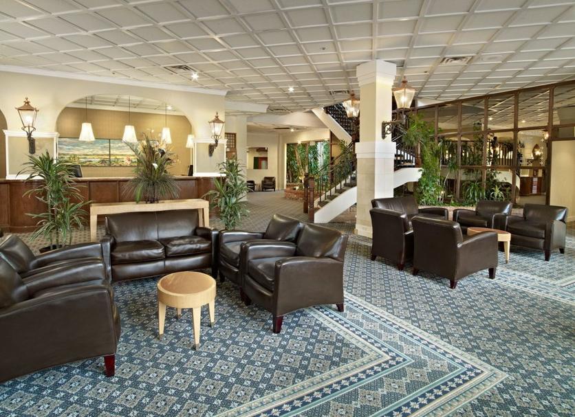 Hall Foto