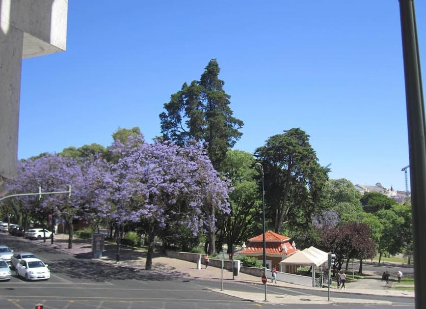 Exterior Foto