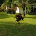 Outra
