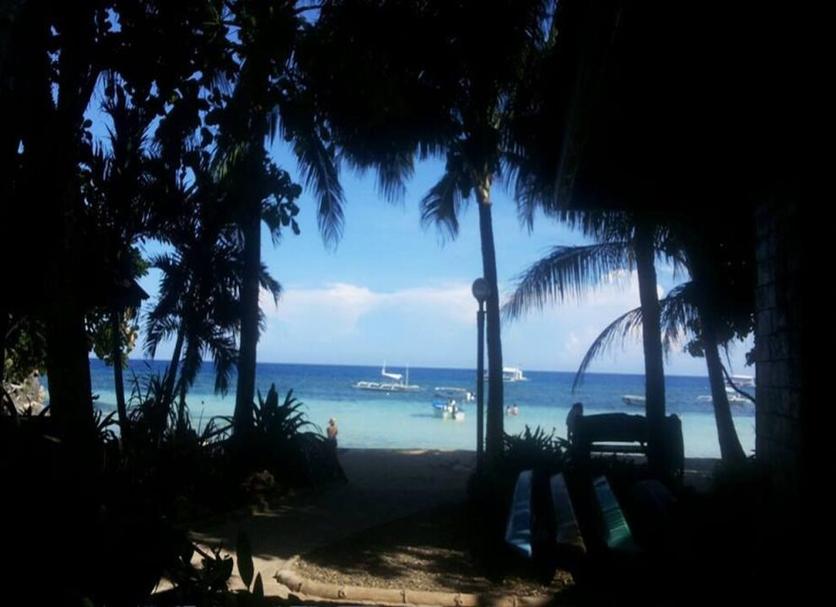 Outra Foto