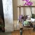 Comodidade do quarto