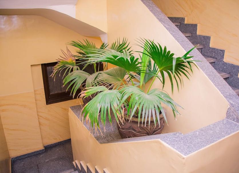 Escadas Foto