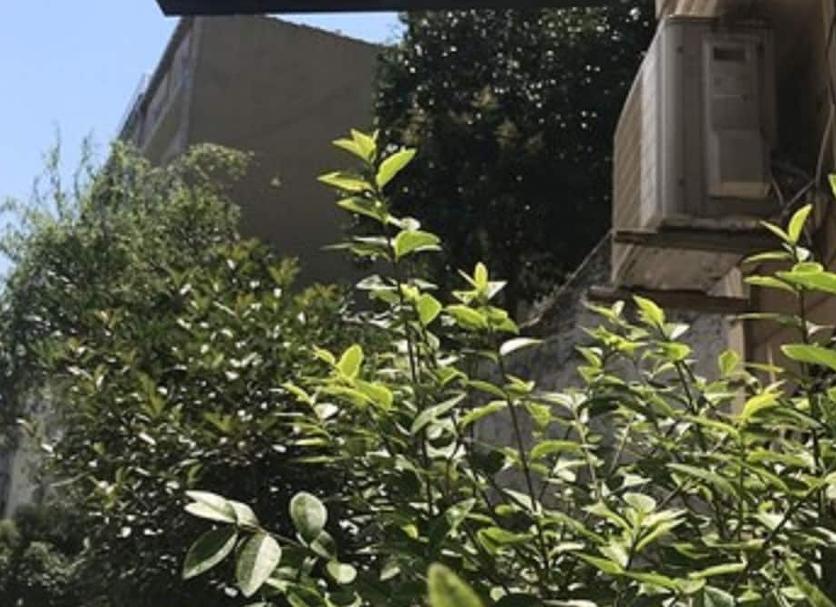 Exterior Foto