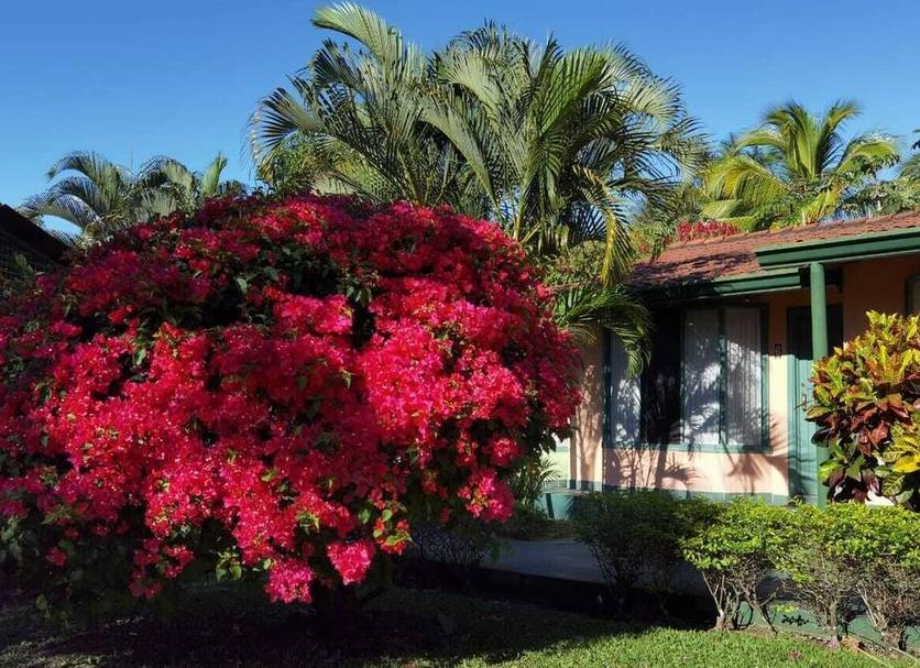 Exterior Foto
