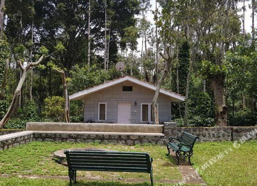 Outra Foto