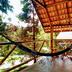 Comodidade do quarto
