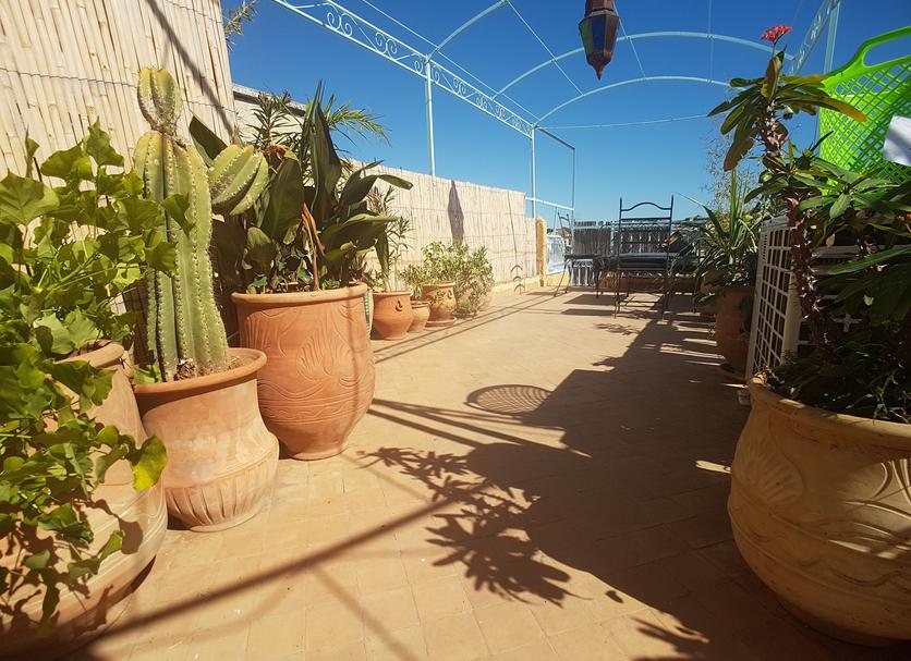 Terraço Foto