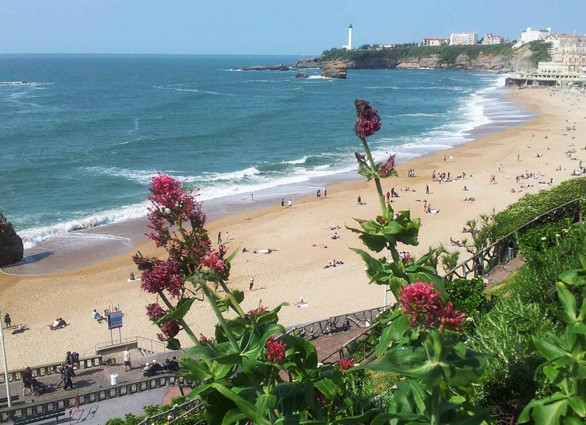 Praia Foto