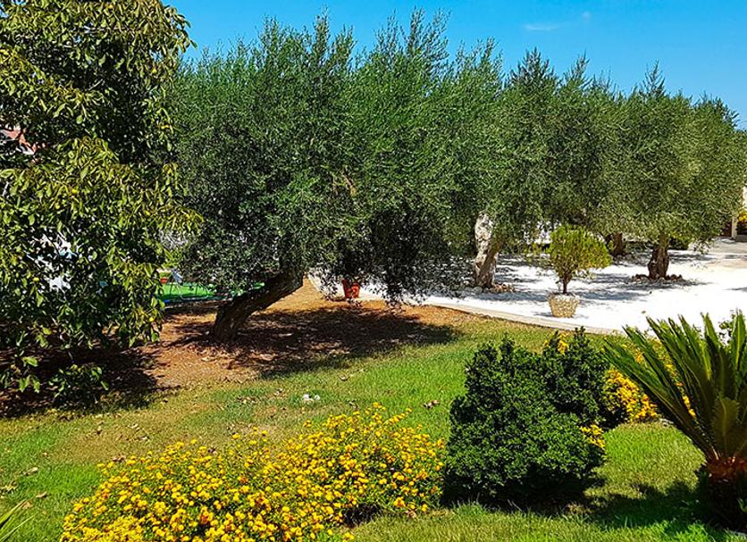 Exterior Foto